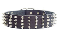 2 inch Leather Dog Collar with STUDS and SPIKES for Great Dane 2 inch Leather Dog Collar with STUDS and SPIKES for Great Dane