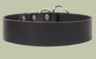 2 inch wide All Weather Collar for Great Dane-Leather Collar 2 inch wide All Weather Collar for Great Dane-Leather Collar