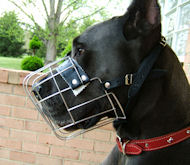 Large Dog Muzzle for Great Dane or German Mastiff muzzle Large Dog Muzzle for Great Dane or German Mastiff muzzle