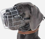 Great Dane Wire Basket dog muzzle