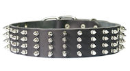 2 inch wide Leather Spiked Dog Collar for Great Dane 2 inch wide Leather Spiked Dog Collar for Great Dane