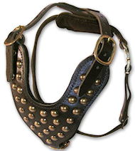 Studded Leather Dog Harness Perfect For Great Dane