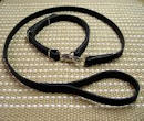 Dog Leashes