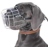 Great Dane Wire Basket dog muzzle - Large Dog Muzzle Great Dane Wire Basket dog muzzle - Large Dog Muzzle