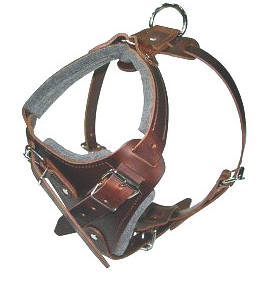handmade leather dog harness- large size
