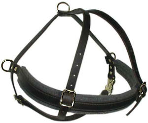 handmade leather dog harness- large size