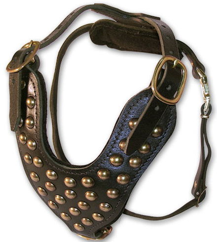 leather studded dog harness- Best dog harness with studs