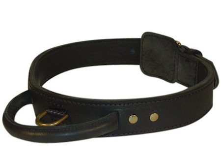 leather dog collar with handle