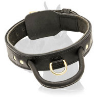 2 ply Leather Great Dane Collar with handle for training 2 ply Leather Great Dane Collar with handle for training