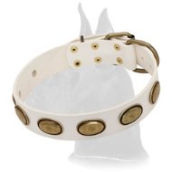 Exclusive Leather White Collar for Great Dane Breed Exclusive Leather White Collar for Great Dane Breed