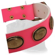 Pink Leather Great Dane Collar with Vintage Oval Plates for Female Dogs Pink Leather Great Dane Collar with Vintage Oval Plates for Female Dogs