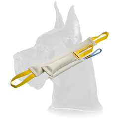 Great Dane Fire Hose Bite Tugs Training Set Great Dane Fire Hose Bite Tugs Training Set