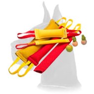 Ultimate dog training set for Great Dane Ultimate dog training set for Great Dane