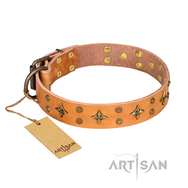 Trendy full grain leather dog collar for walking