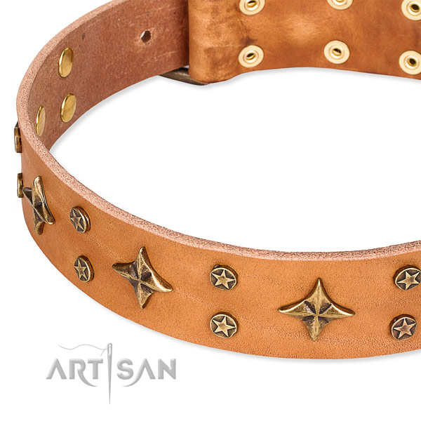 Full grain genuine leather dog collar with inimitable embellishments