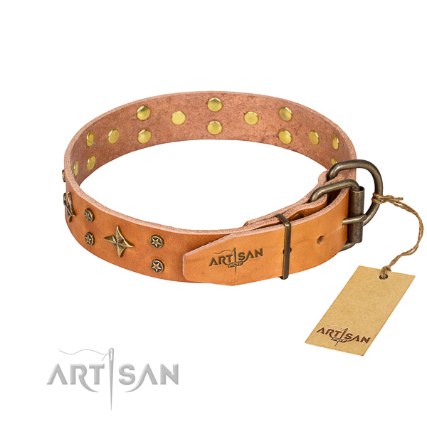 Everyday walking genuine leather collar with decorations for your doggie