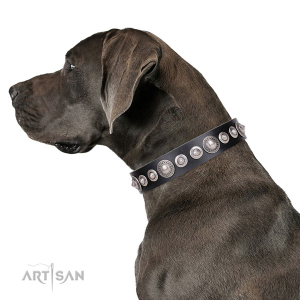 Stylish design studded leather dog collar for basic training