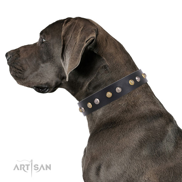 Leather dog collar with reliable buckle and D-ring for walking