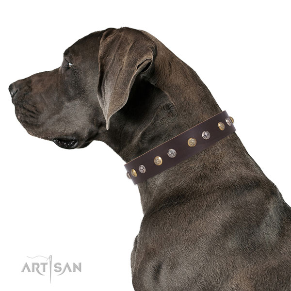 Leather dog collar with durable buckle and D-ring for walking