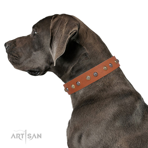 Natural leather dog collar with rust-proof buckle and D-ring for daily walking