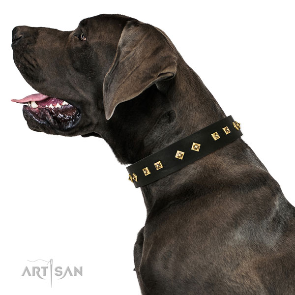 Inimitable decorations on handy use full grain genuine leather dog collar
