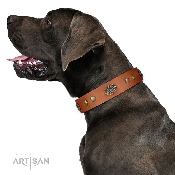 Reliable D-ring on full grain genuine leather dog collar for everyday walking