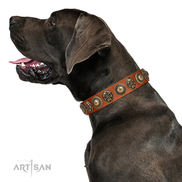 Adorned full grain natural leather collar for your impressive canine