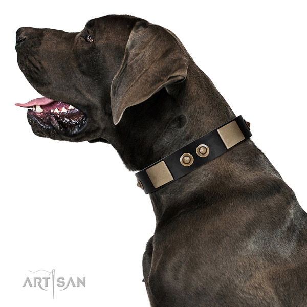 Corrosion proof hardware on genuine leather dog collar for basic training