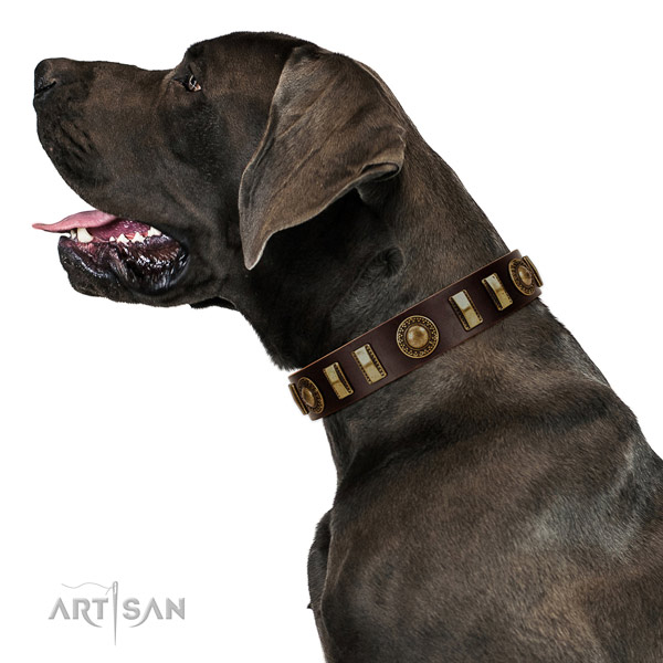 Top notch full grain natural leather dog collar with rust-proof D-ring