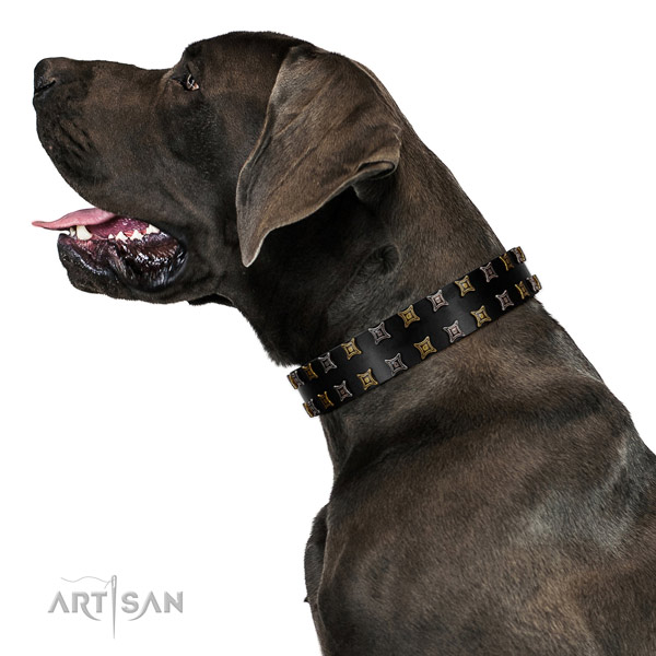 High quality full grain genuine leather dog collar with adornments for your dog