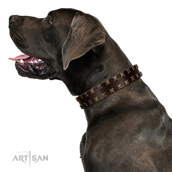 Top notch genuine leather dog collar with decorations for your pet