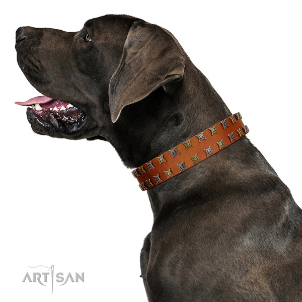 Flexible full grain genuine leather dog collar with studs for your dog