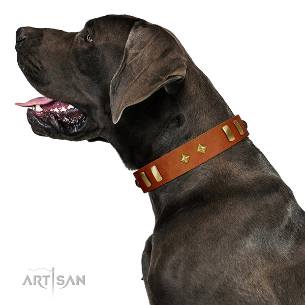 Comfortable wearing top notch full grain genuine leather dog collar with embellishments