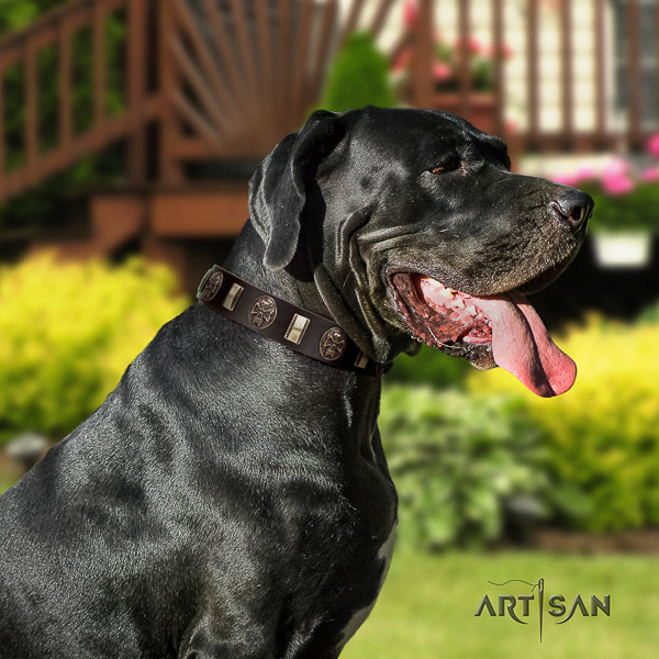Great Dane handy use full grain genuine leather collar with studs for your dog