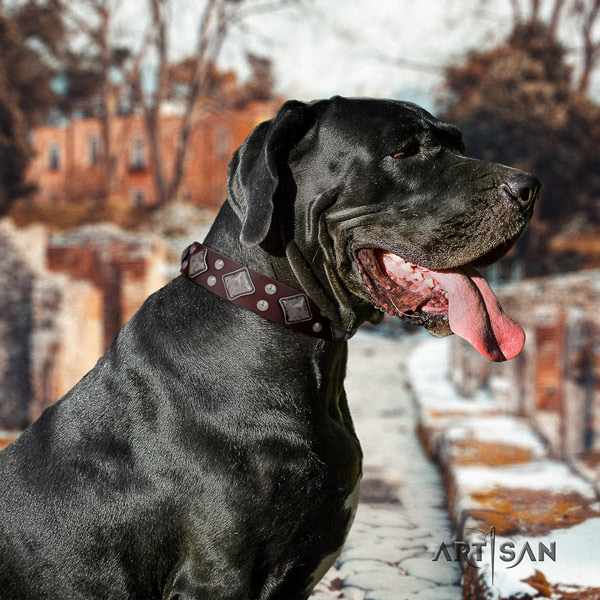 Great Dane handcrafted collar with extraordinary studs for your doggie