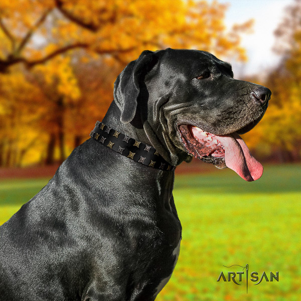 Great Dane easy wearing full grain genuine leather collar with studs for your dog