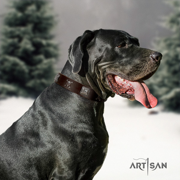 Great Dane basic training full grain leather collar with embellishments for your dog