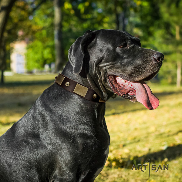 Great Dane easy wearing full grain genuine leather collar with embellishments for your dog