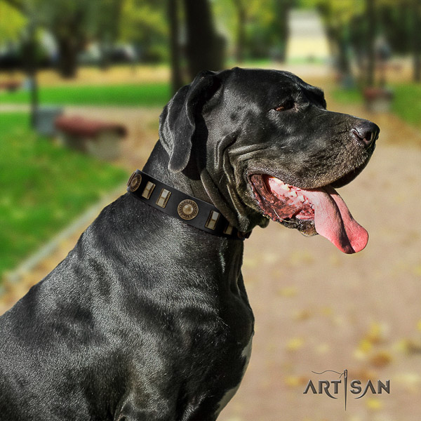 Great Dane stylish walking natural leather collar with embellishments for your pet