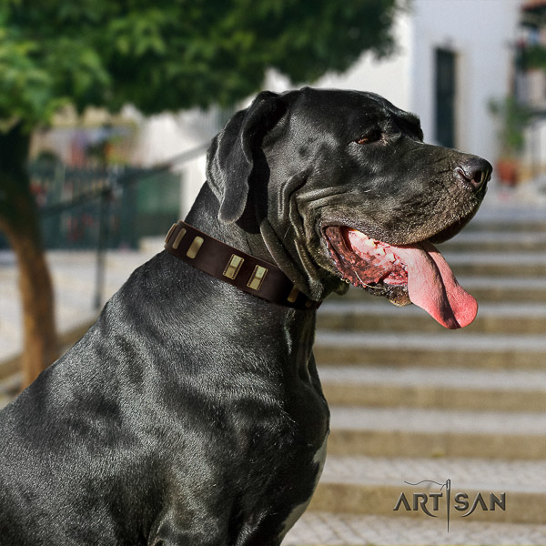 Great Dane everyday use full grain genuine leather collar with embellishments for your four-legged friend
