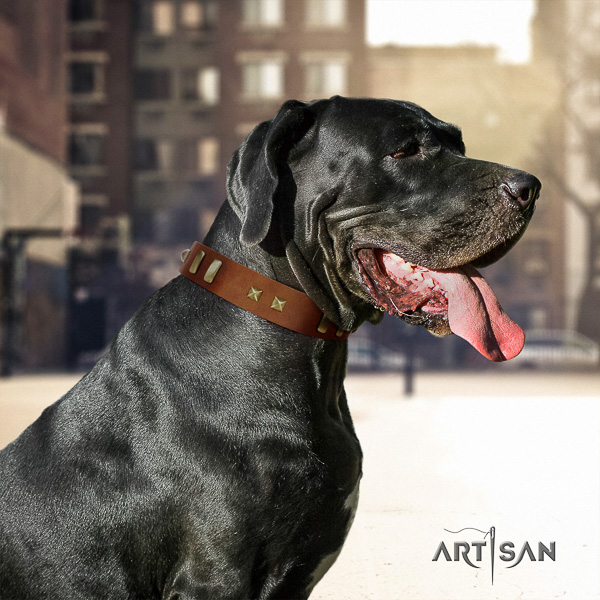 Great Dane stylish walking full grain leather collar with studs for your dog