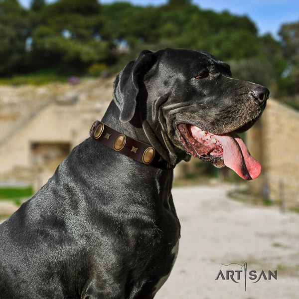 Great Dane handy use natural leather collar with adornments for your doggie