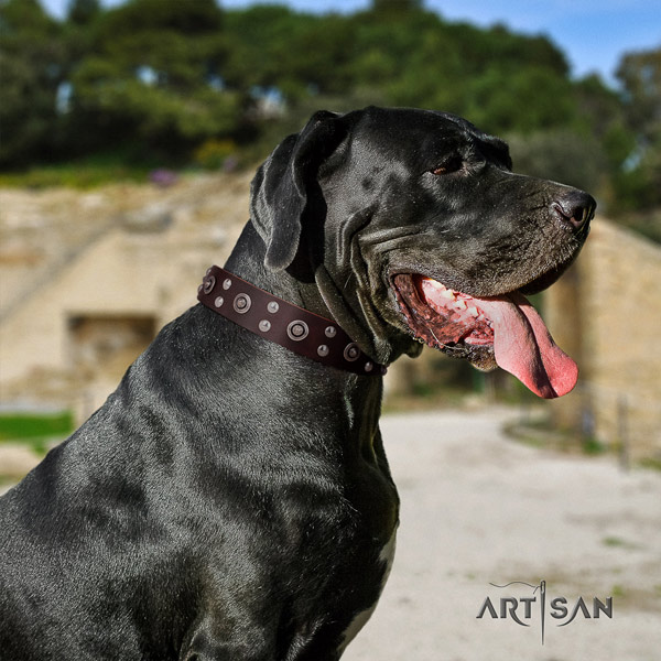 Great Dane adjustable collar with fashionable decorations for your dog