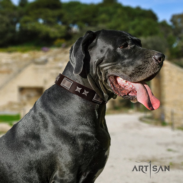 Great Dane remarkable full grain genuine leather collar with corrosion proof traditional buckle