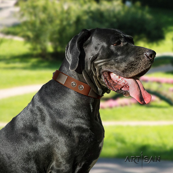 Great Dane handy use genuine leather collar with studs for your dog