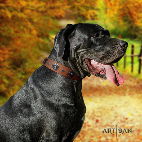 Great Dane best quality collar with unique adornments for your canine