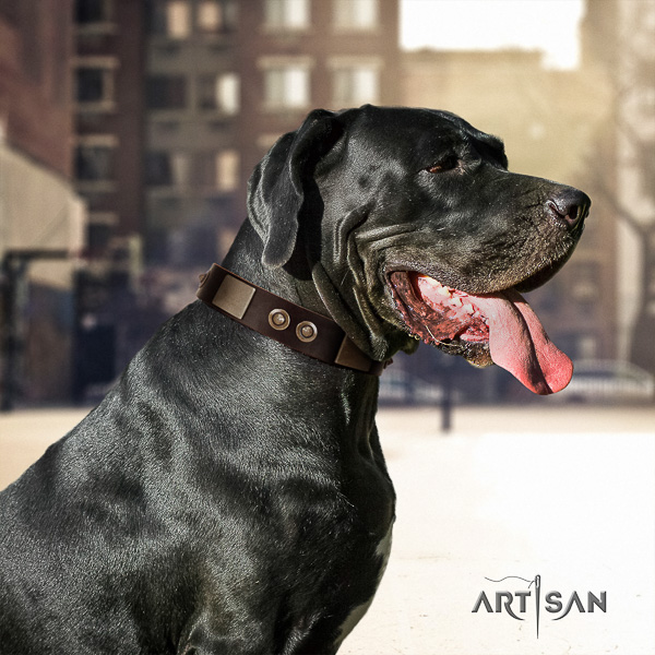 Great Dane stylish walking natural leather collar with embellishments for your canine