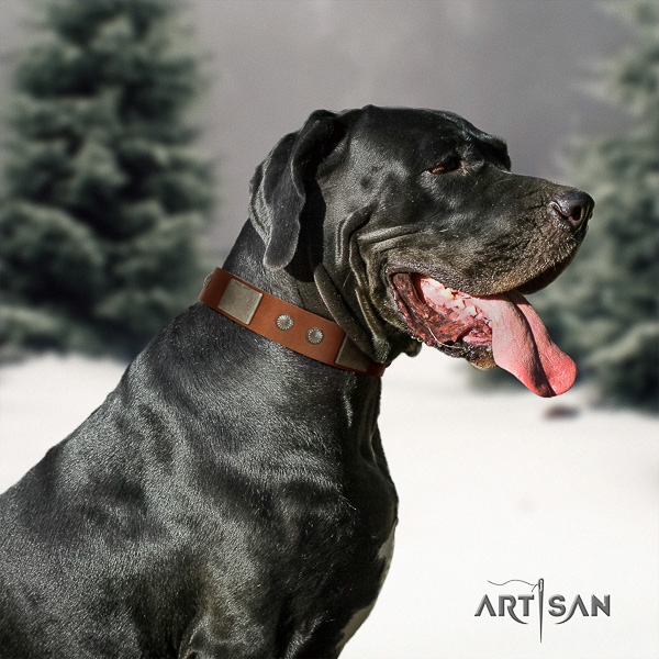 Great Dane easy wearing genuine leather collar with adornments for your doggie