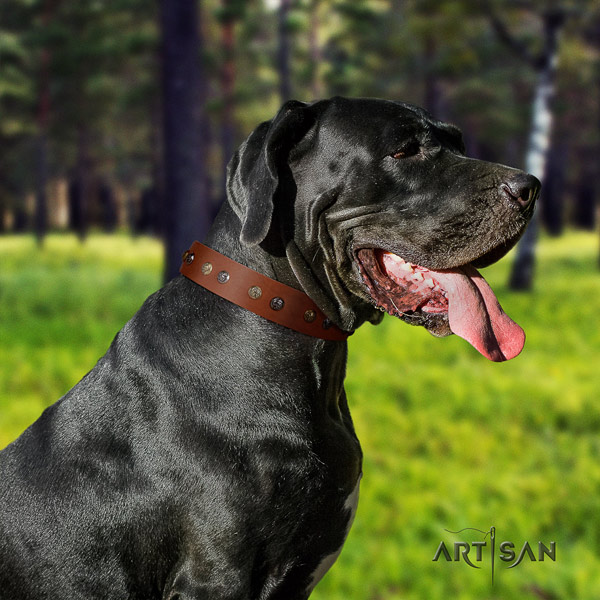Great Dane easy to adjust collar with fashionable decorations for your pet