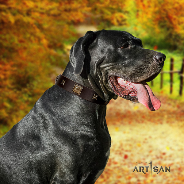 Great Dane everyday walking genuine leather collar with embellishments for your pet